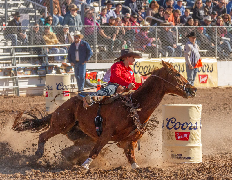Barrel Racer by Brian Clark